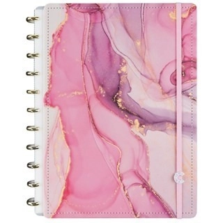 Caderno inteligente Àgatha Rosa Grande: c/ 80 folhas offset 90g