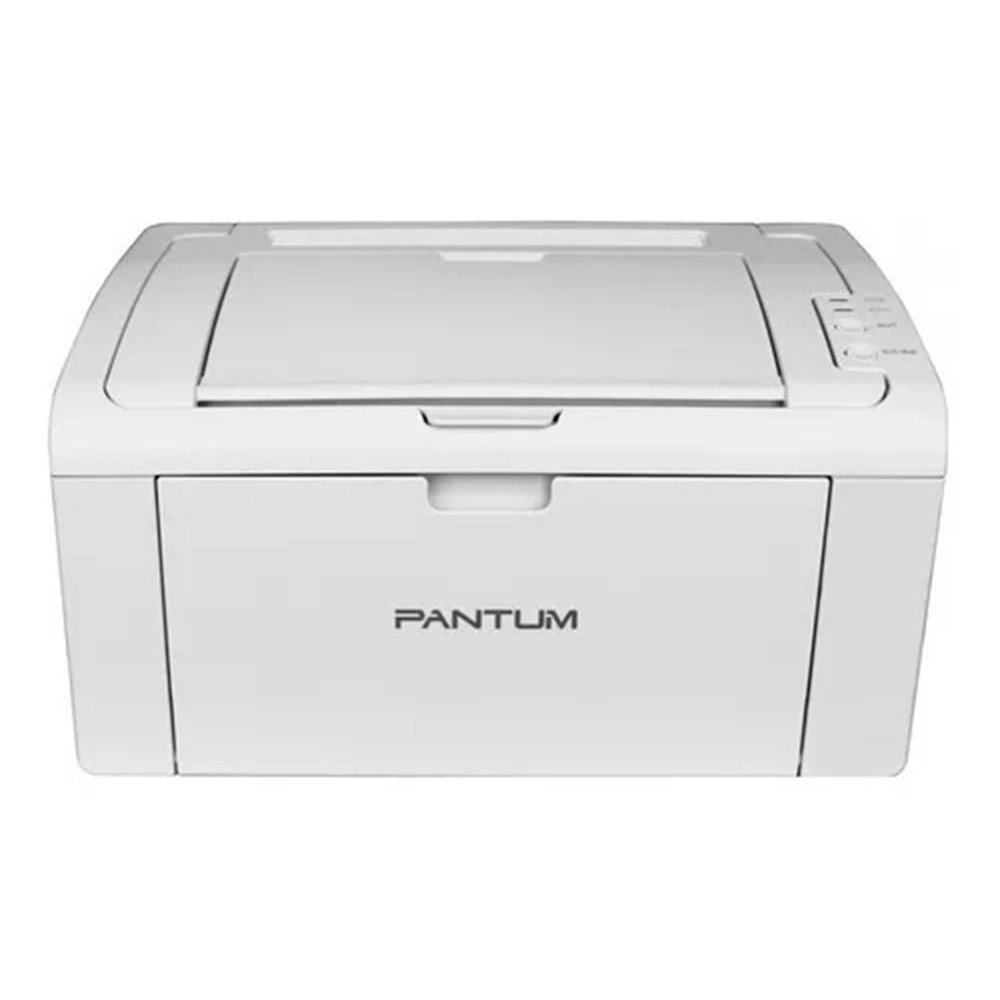 Impressora Laser Mono Pantum P2509W 110V